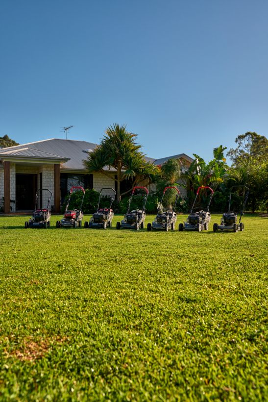 Victa Lawn Mower Buying Guide